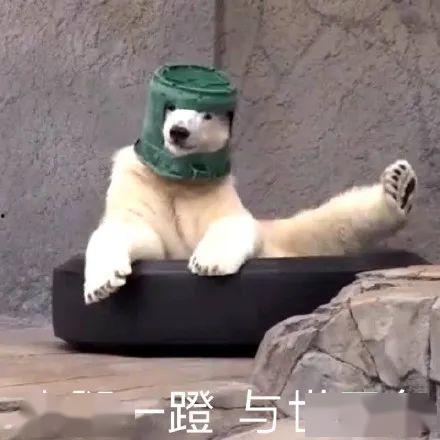 爆料最新角色沙雕图片大全,盘点最新爆笑形象大盘点 第1张 爆料最新角色沙雕图片大全,盘点最新爆笑形象大盘点 第1张