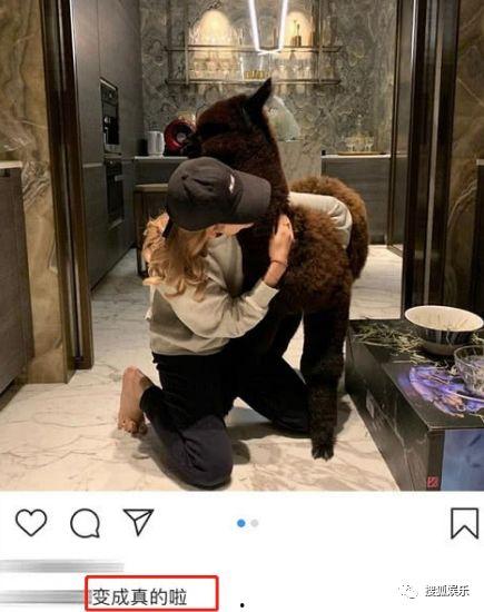 羊驼棉棉特性爆料视频,保暖舒适,环保时尚新宠 第3张 羊驼棉棉特性爆料视频,保暖舒适,环保时尚新宠 第3张